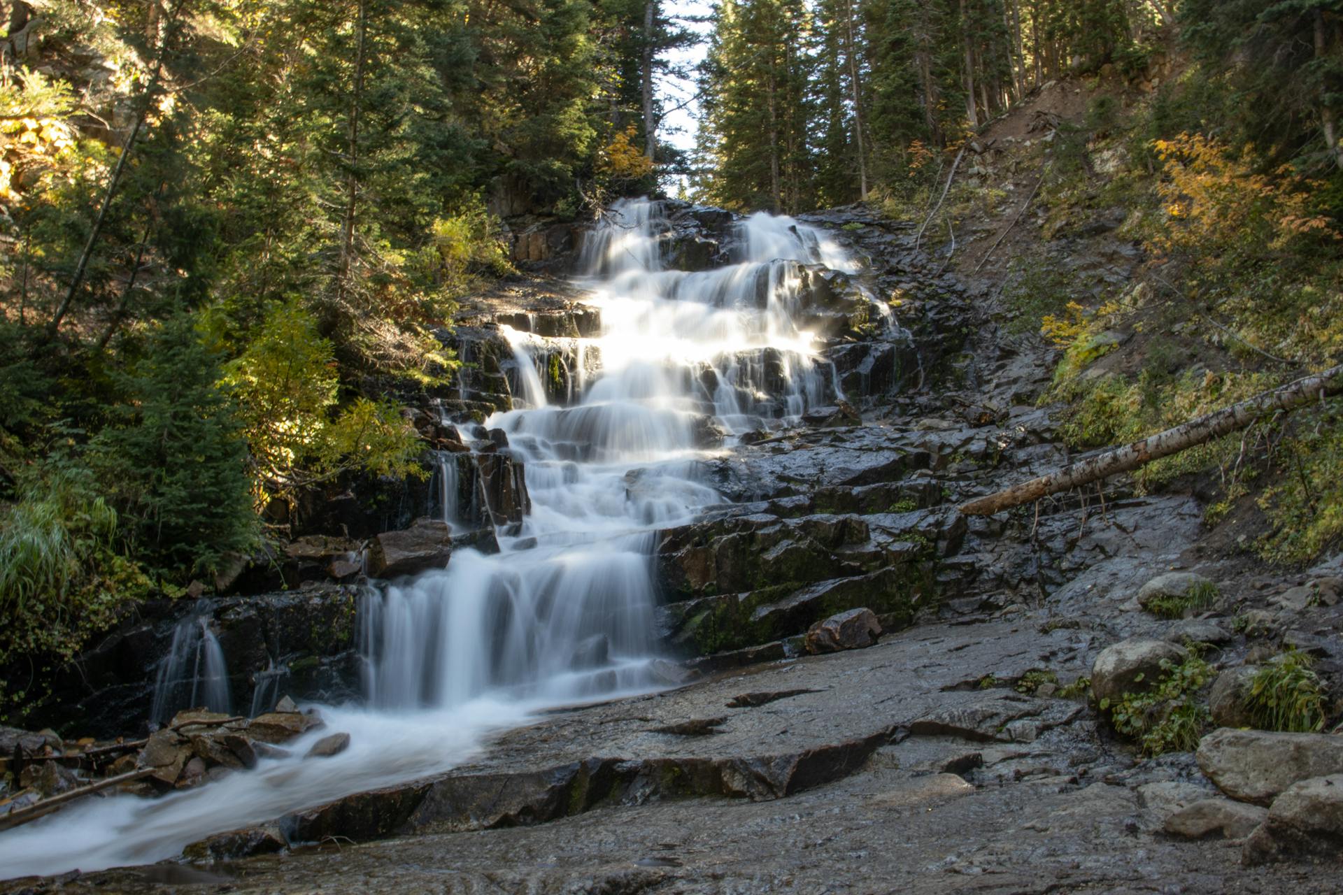 A stream in a forest (Source: Pexels).